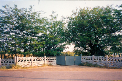 gravgården, 5, 1988
